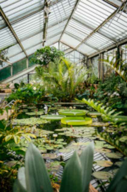 Princess of Wales Conservatory 1